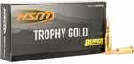 HSM 6mm Arc 95 Grain VLD Trophy Gold Hollow Point 20 Rounds